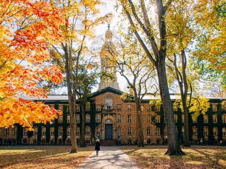 A university quadrangle on an autumn morning